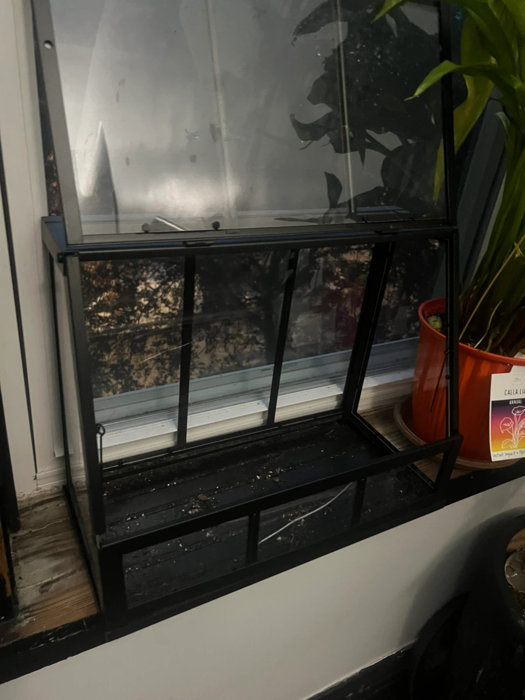 Black Metal and Glass Terrarium/Greenhouse ⚽