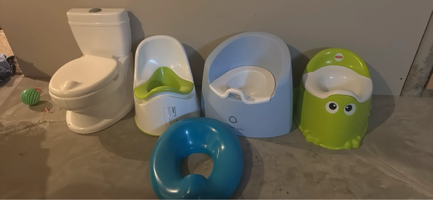 Fisher-Price Frog Potty Seat and Child Training Toilet