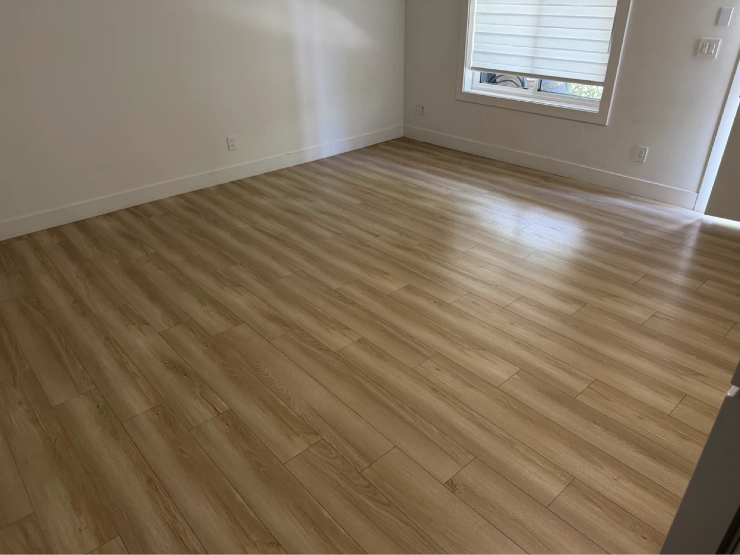 Bachelor suite for rent - photo 2