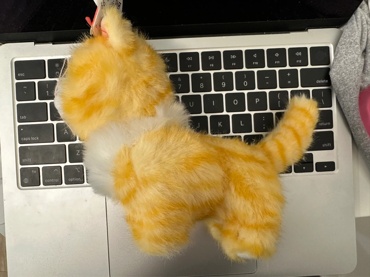 ⚽️Ty Beanie Baby Orange Tabby Cat Plush - photo 2