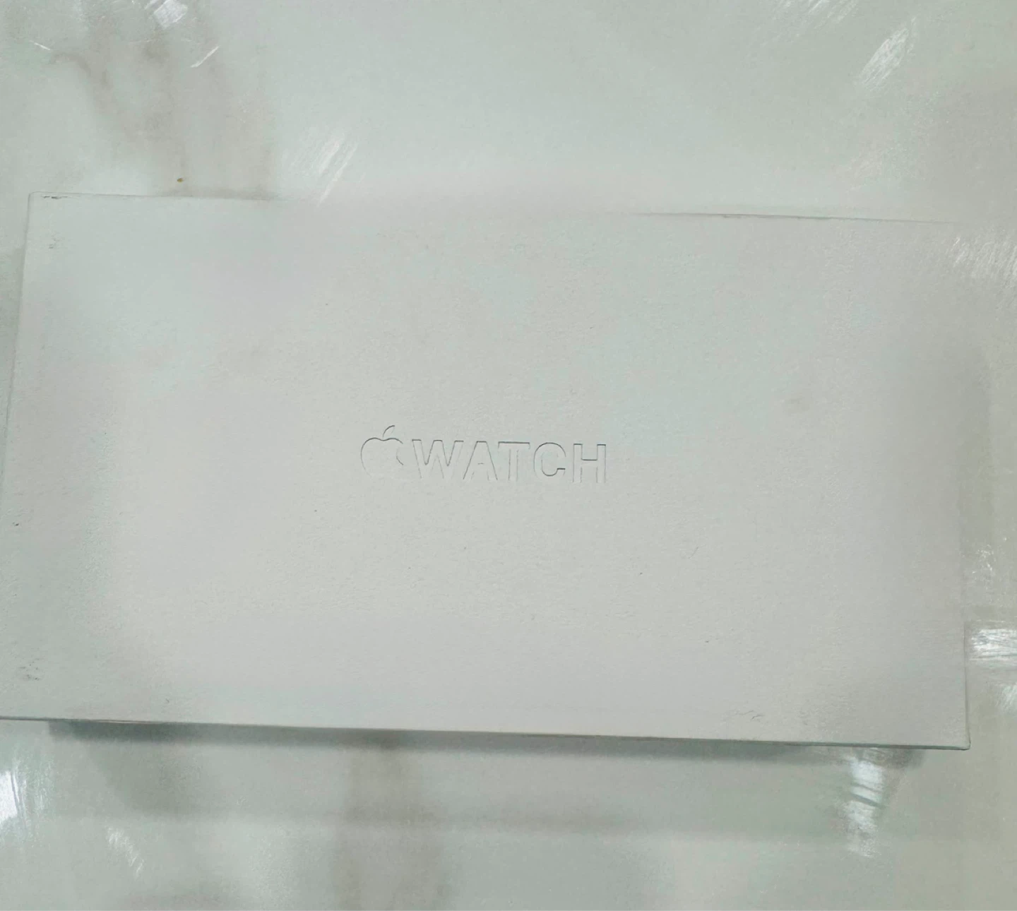Apple Watch Ultra 49mm Titanium Natural Loop - photo 4