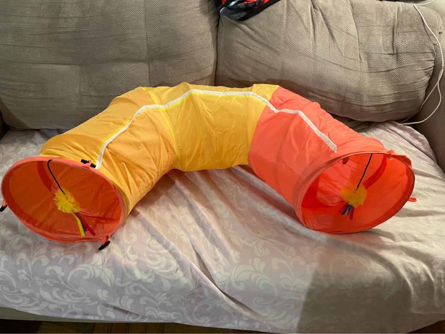 Cat Tunnel