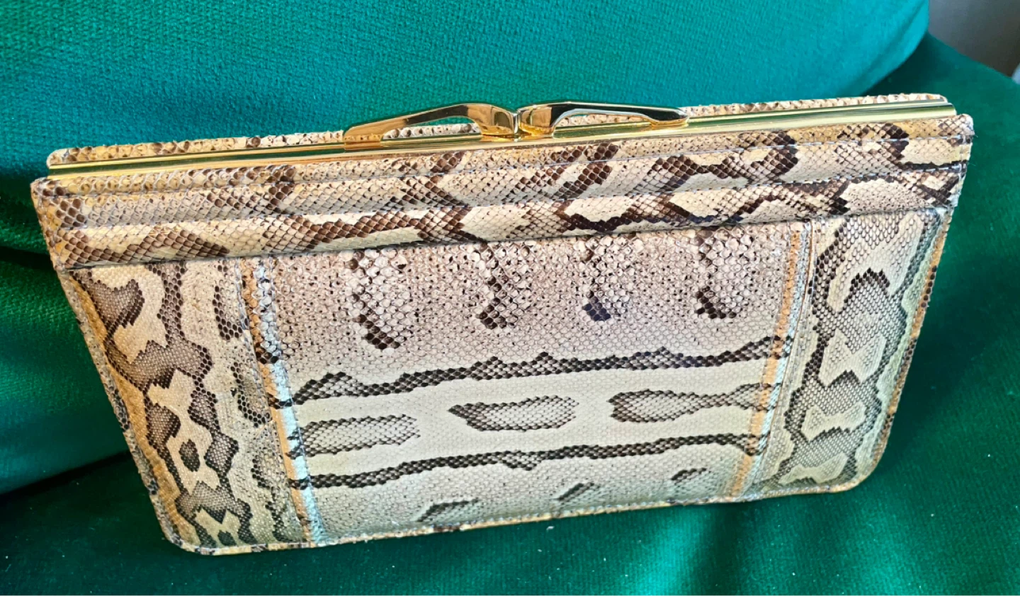 Python Skin Clutch Purse with Gold Clasp - photo 4