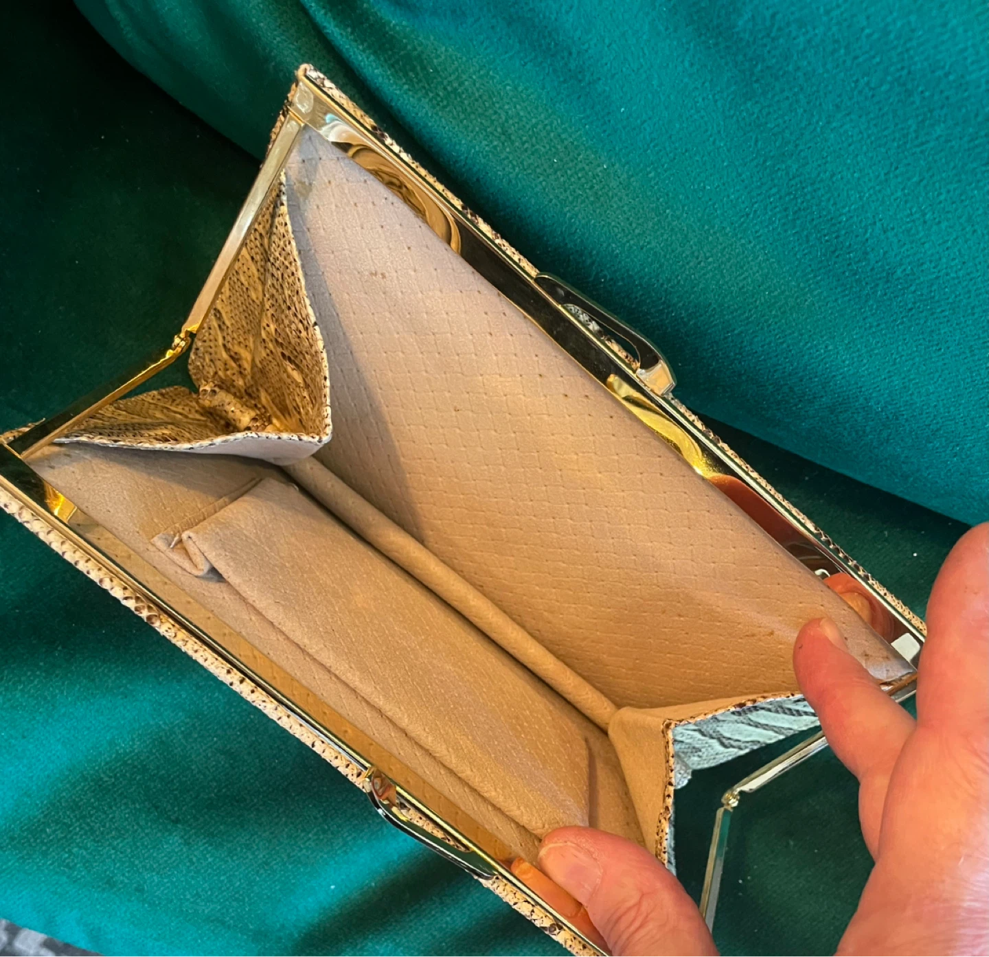 Python Skin Clutch Purse with Gold Clasp - photo 2