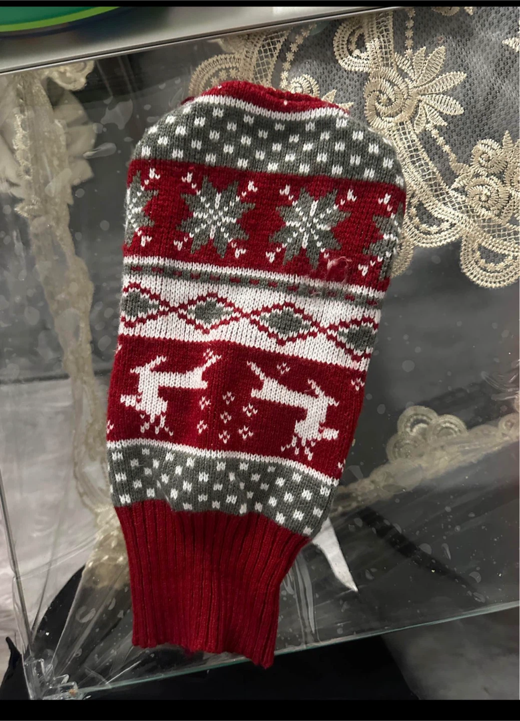 Christmas Pet Sweater ⚽