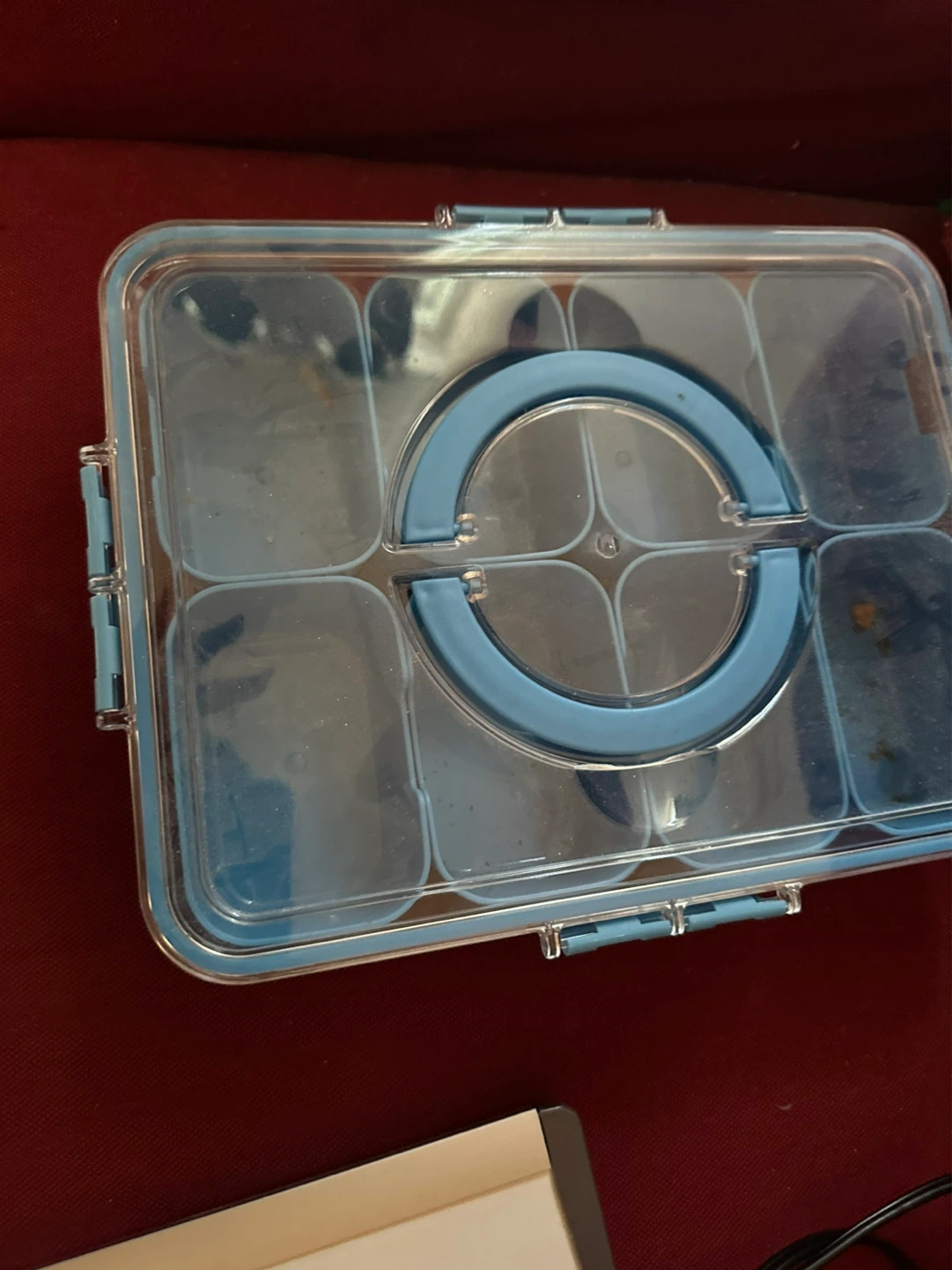 Bento Lunch Box with Blue Accents