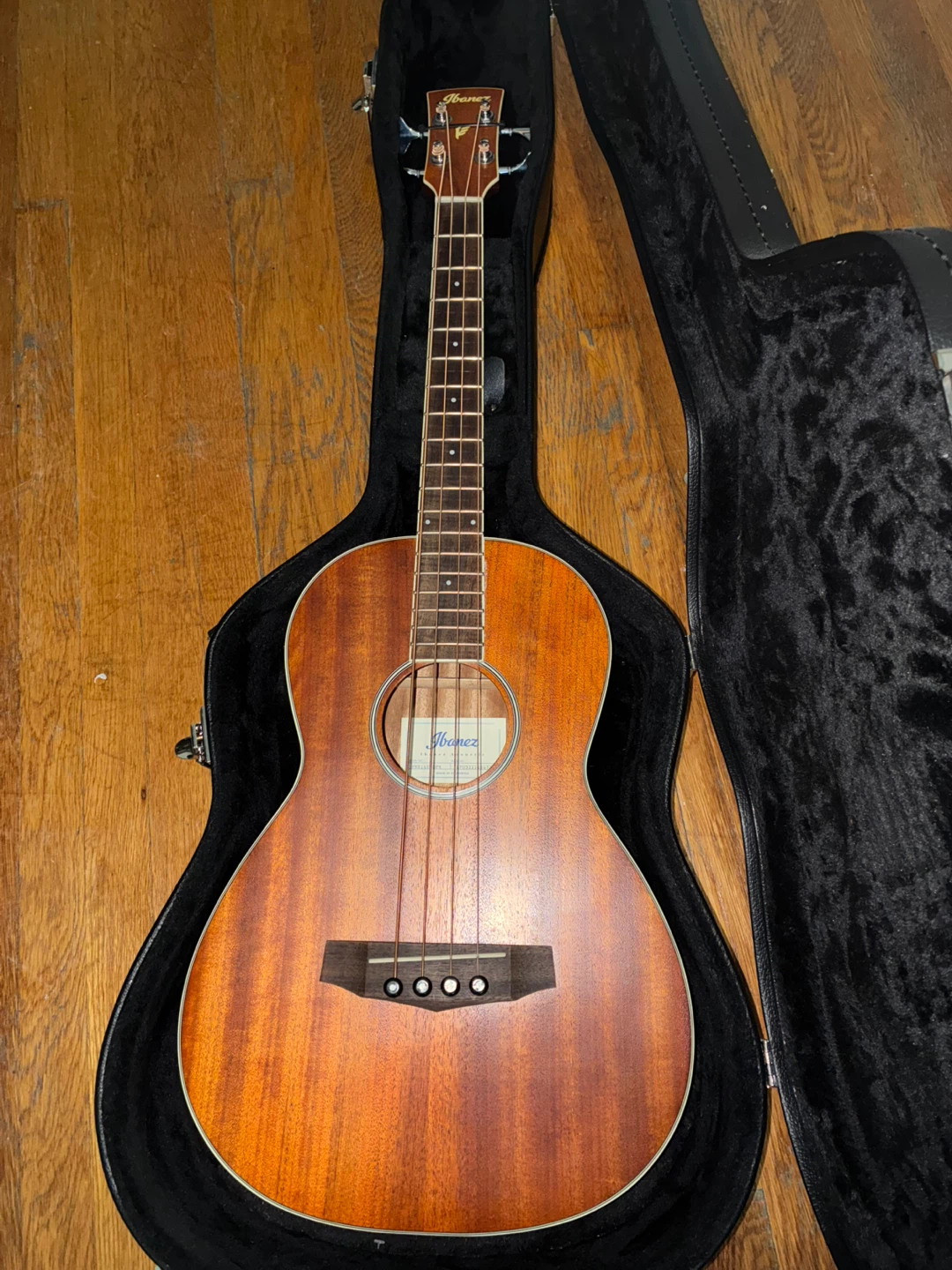 Ibanez Acoustic Bass Guitar