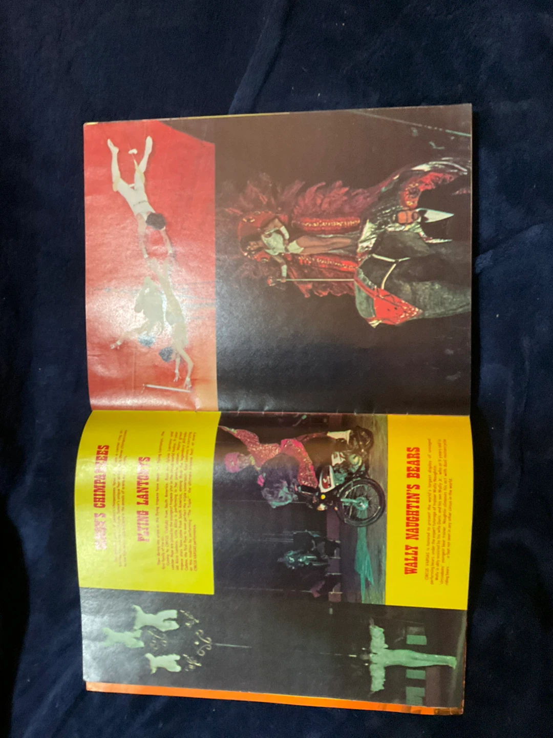 Circus Vargas Program 1977 - photo 5