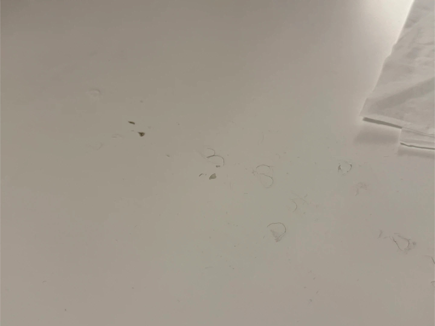 IKEA ALEX White Desk(little scratch on the surface( - photo 3
