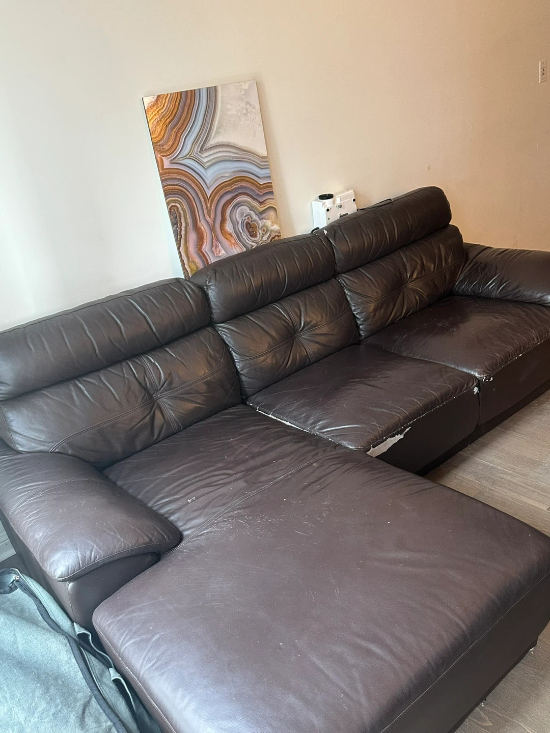 Brown Leather Sectional Couch with Chaise - photo 3