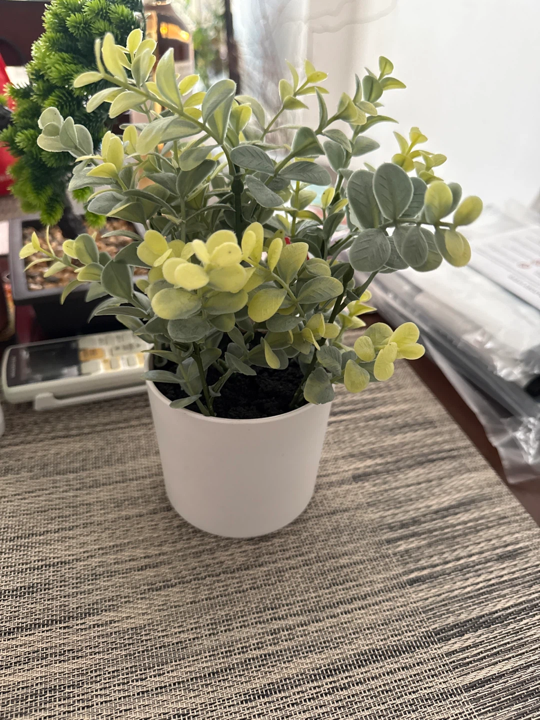 Artificial Plant in White Pot