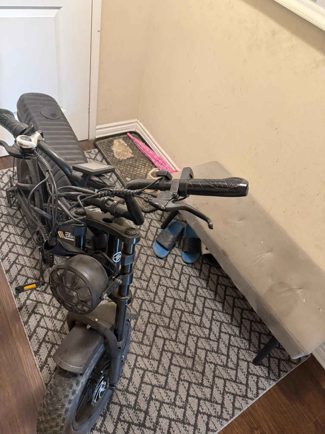 100v electric e bike