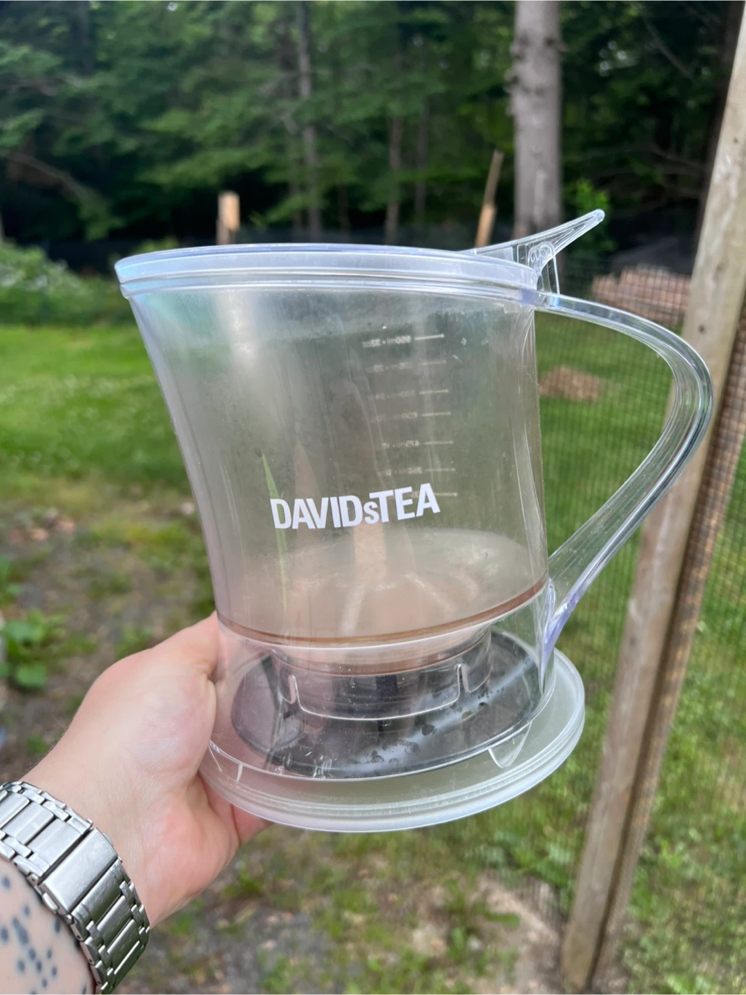 DAVIDsTEA Infuser Pitcher