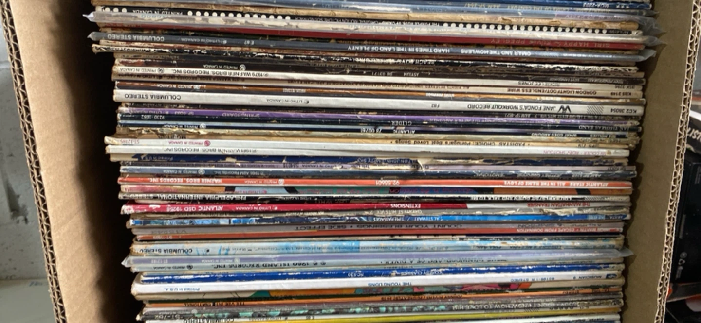 Collection of Vinyl Records - 100 Vinyl Record Lot - photo 4