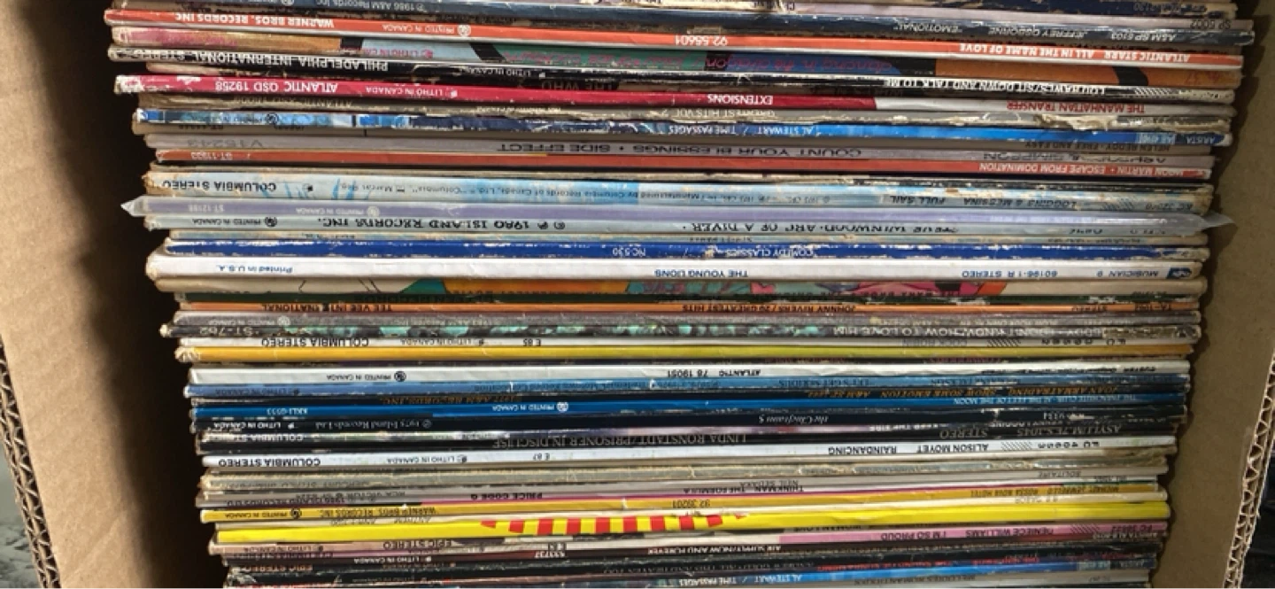 Collection of Vinyl Records - 100 Vinyl Record Lot - photo 3