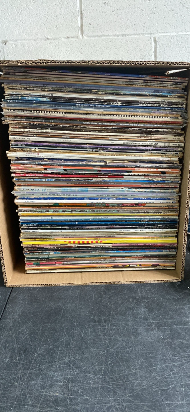Collection of Vinyl Records - 100 Vinyl Record Lot