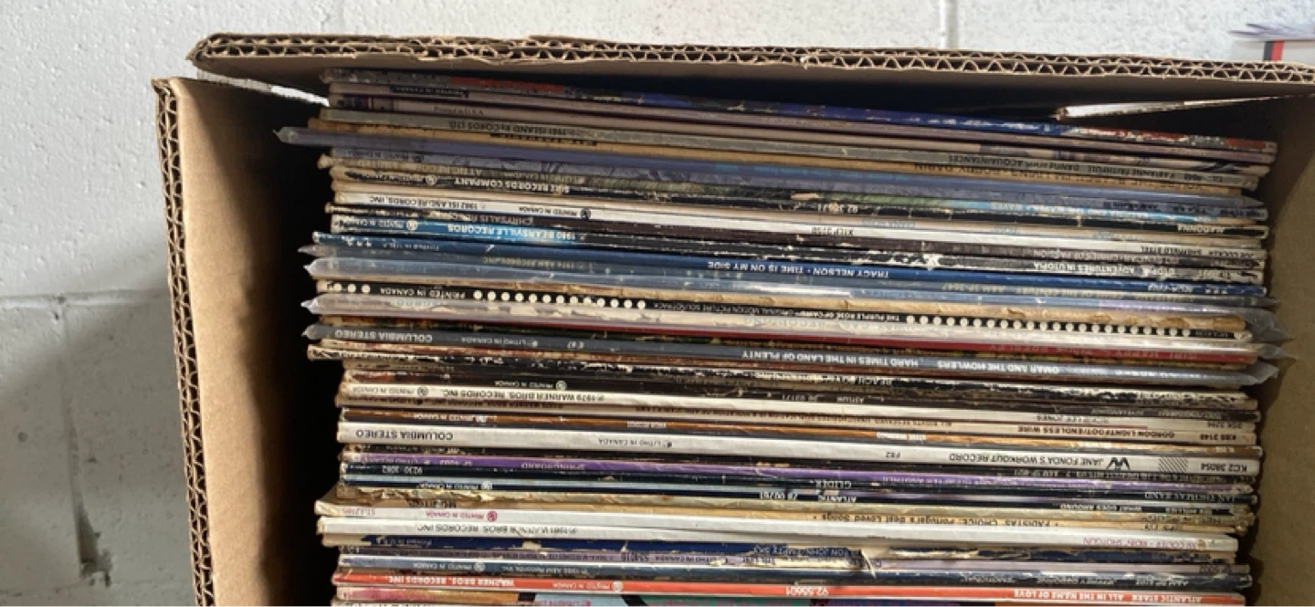 Collection of Vinyl Records - 100 Vinyl Record Lot - photo 5