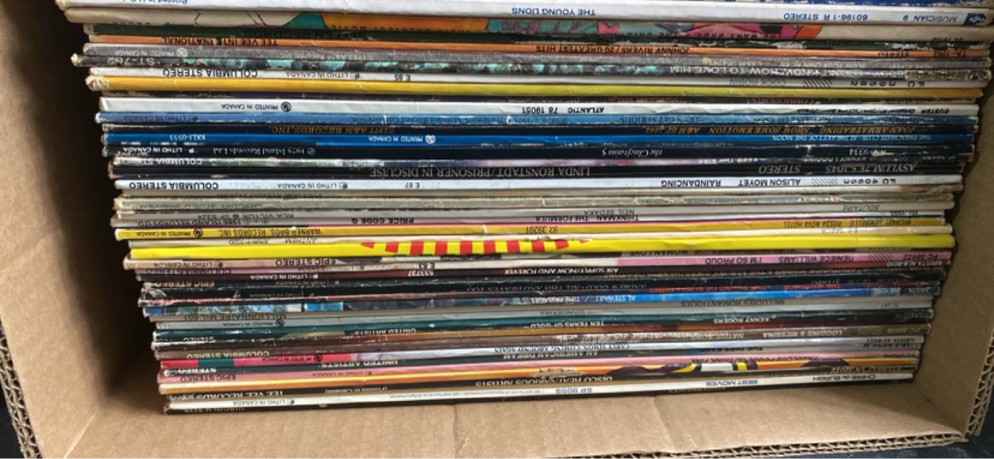 Collection of Vinyl Records - 100 Vinyl Record Lot - photo 2