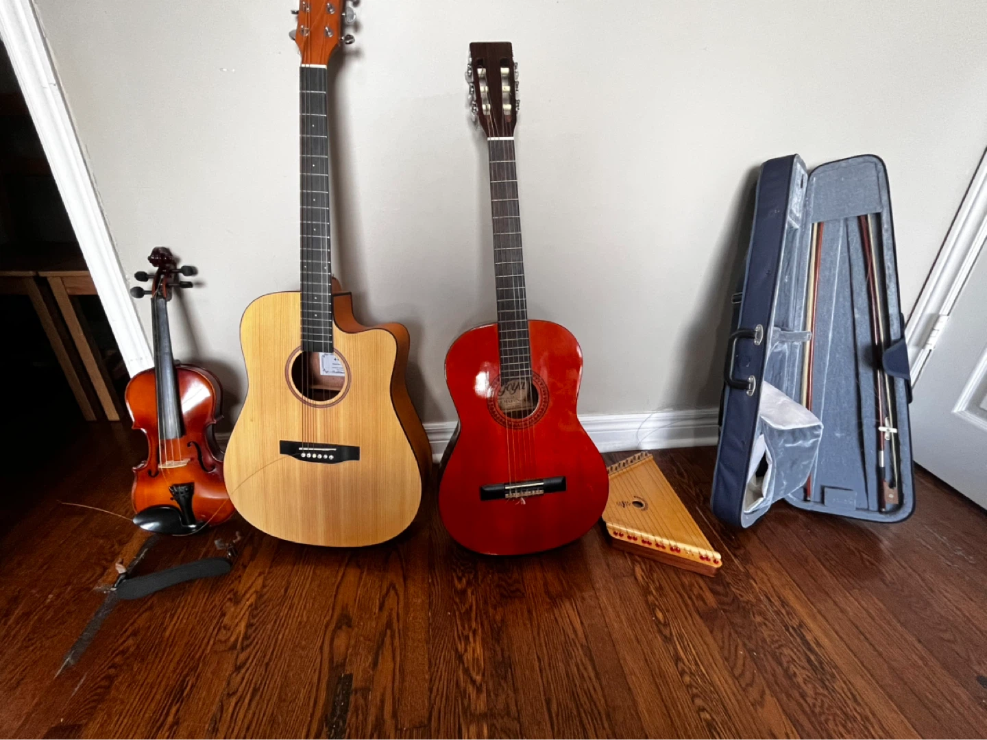 Violin, acoustic guitar , classical guitar, and harp.