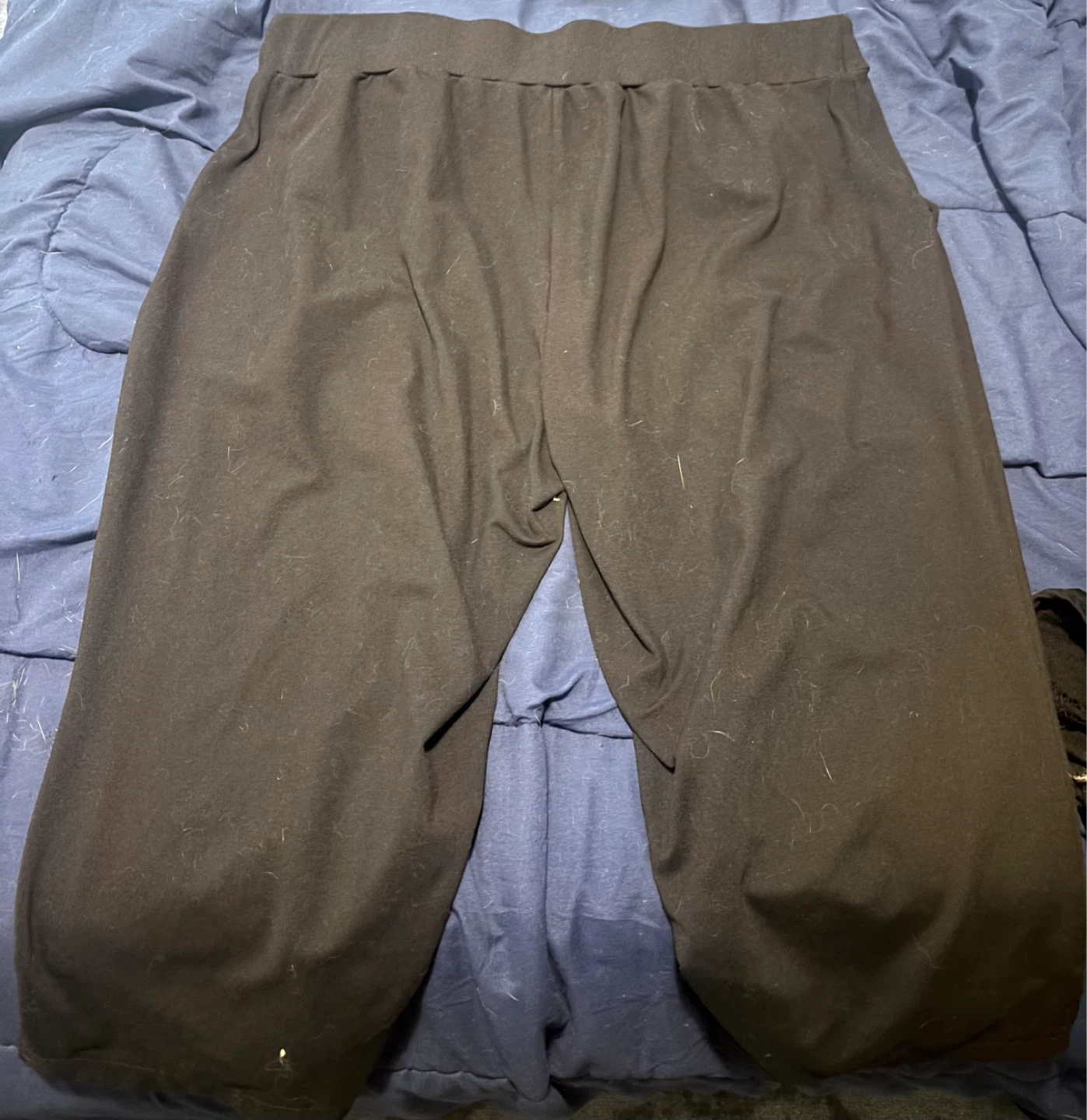 Woman’s Capris & Jeggings - Size 2XL - photo 2