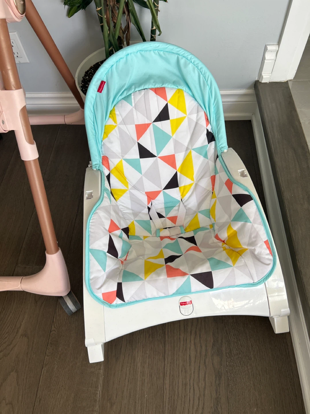 Fisher-Price Infant Rocker Seat