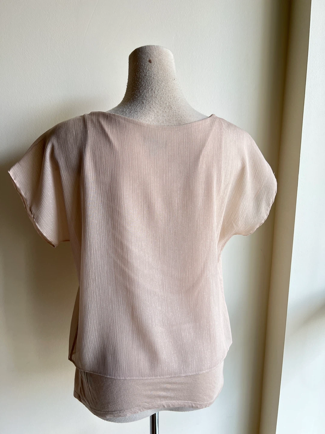 Women's Beige Sheer Overlay Top XS - photo 2