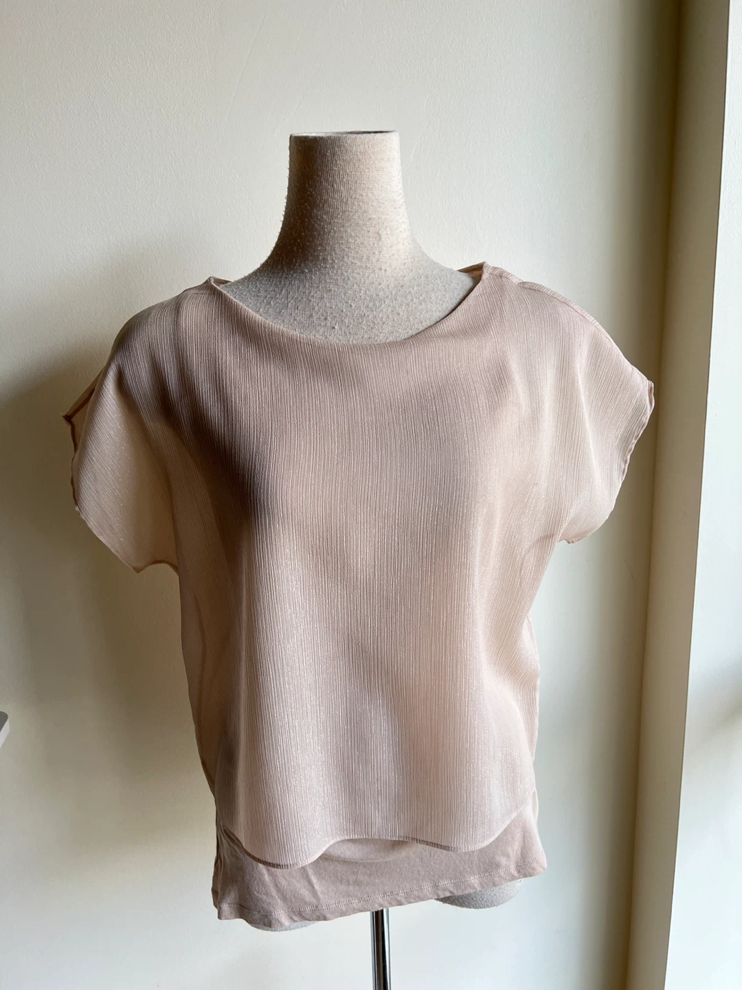 Women's Beige Sheer Overlay Top XS