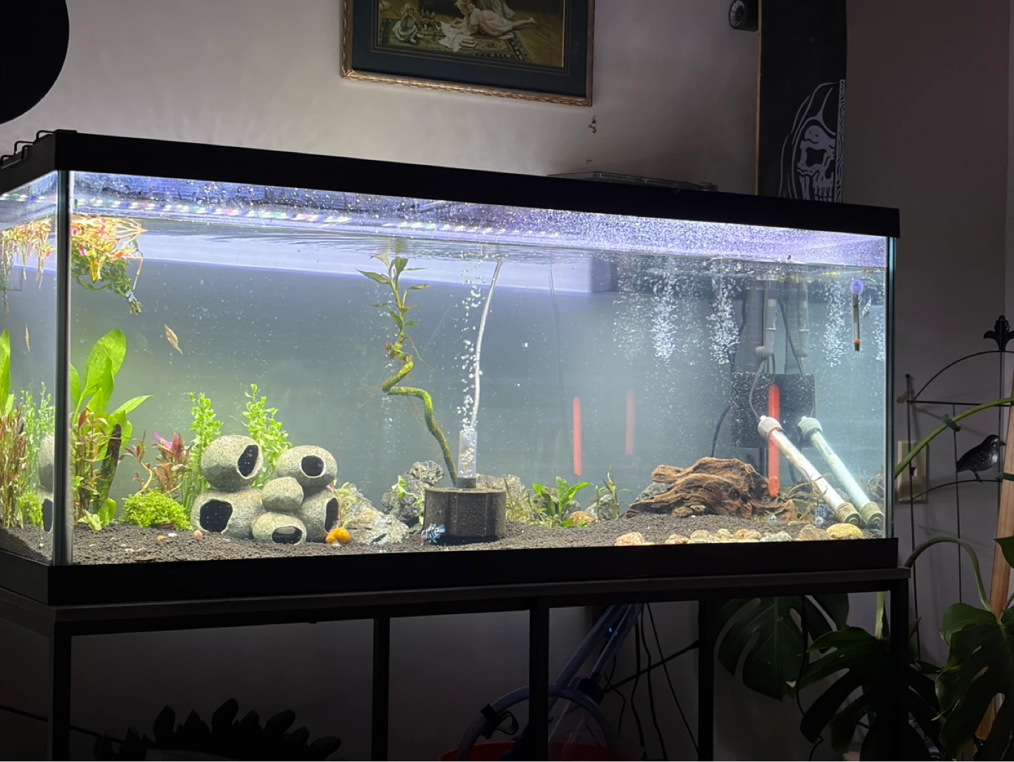 Aquarium + Stand - photo 2