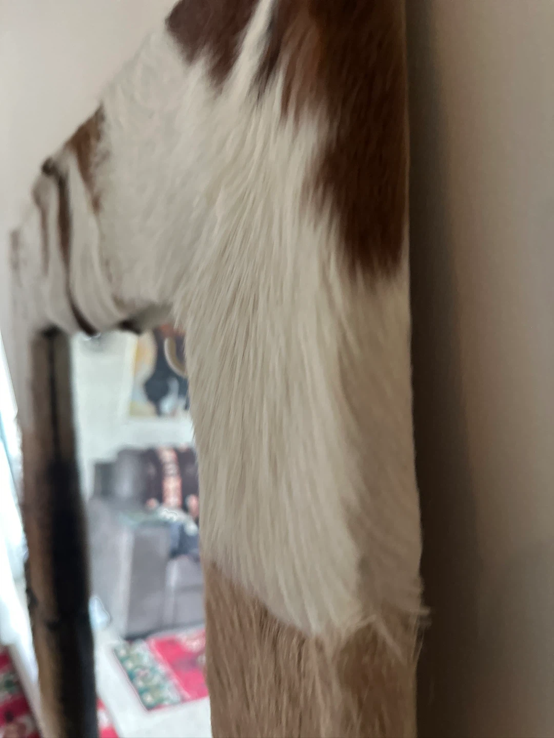 Cowhide Accent Mirror - photo 4