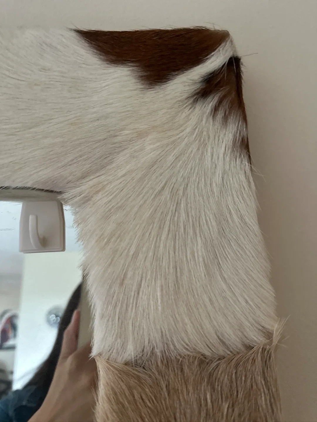 Cowhide Accent Mirror - photo 3