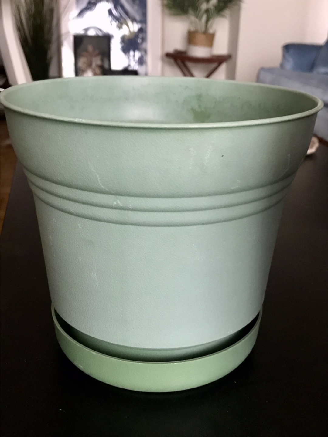 Set of Planters - Vibrant Colors - In/Outdoor - photo 4