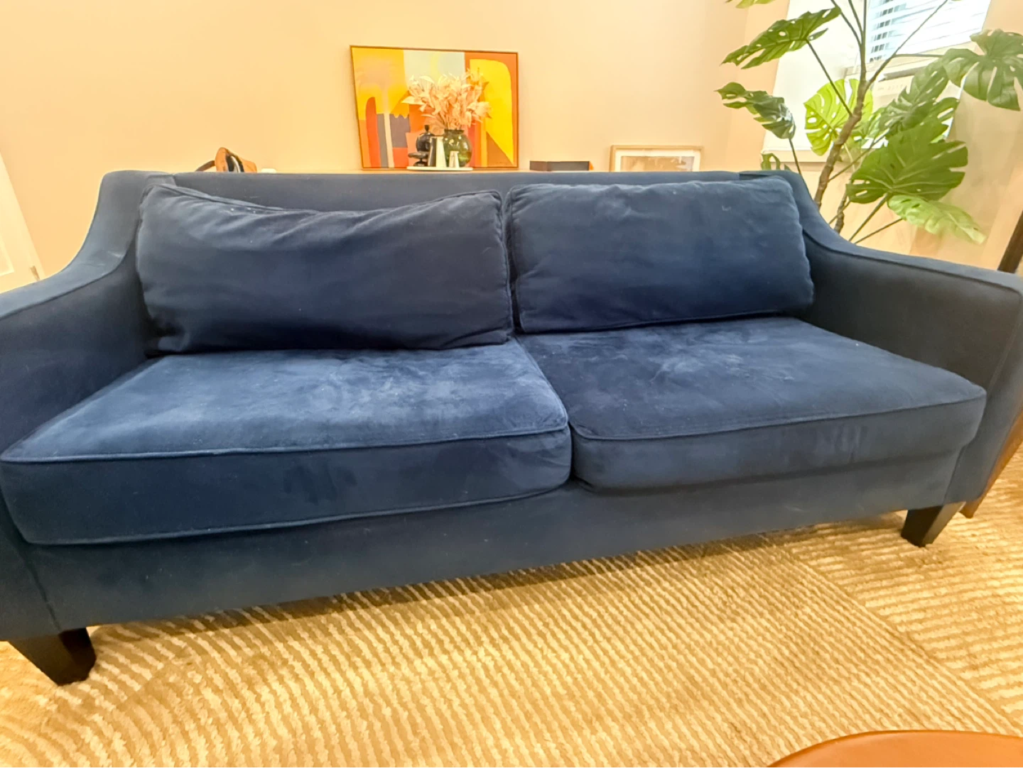 West Elm Paige Velvet Sofa