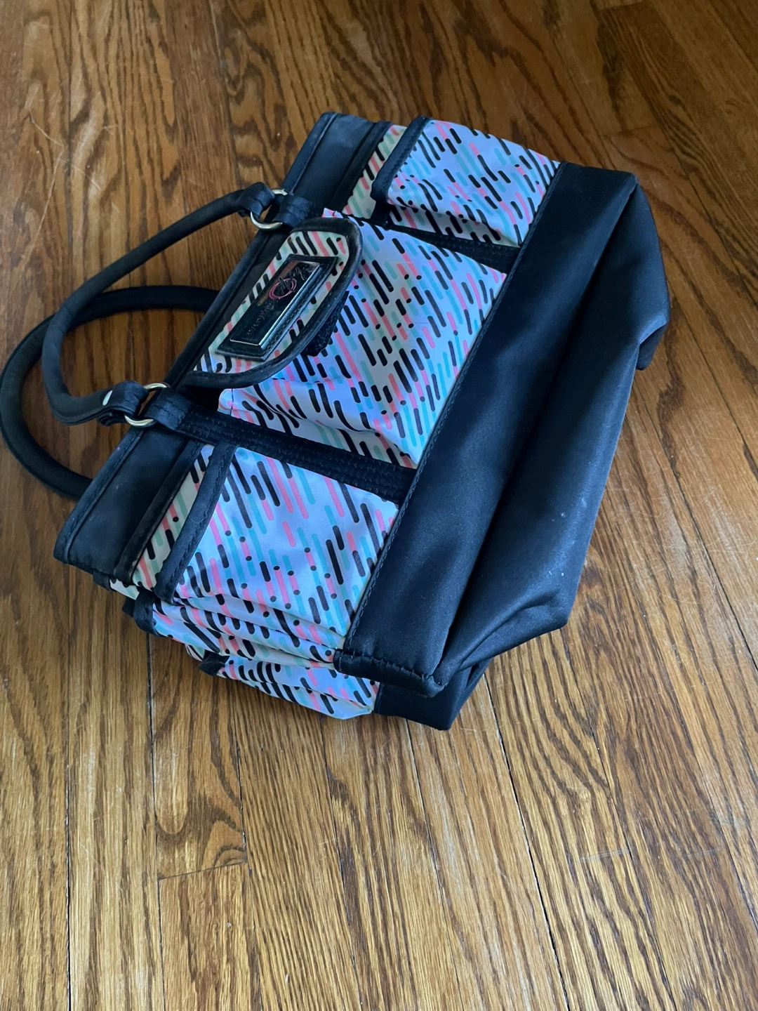 Craft Supply Organizer / Tote – Collapsible with Dividers – $10