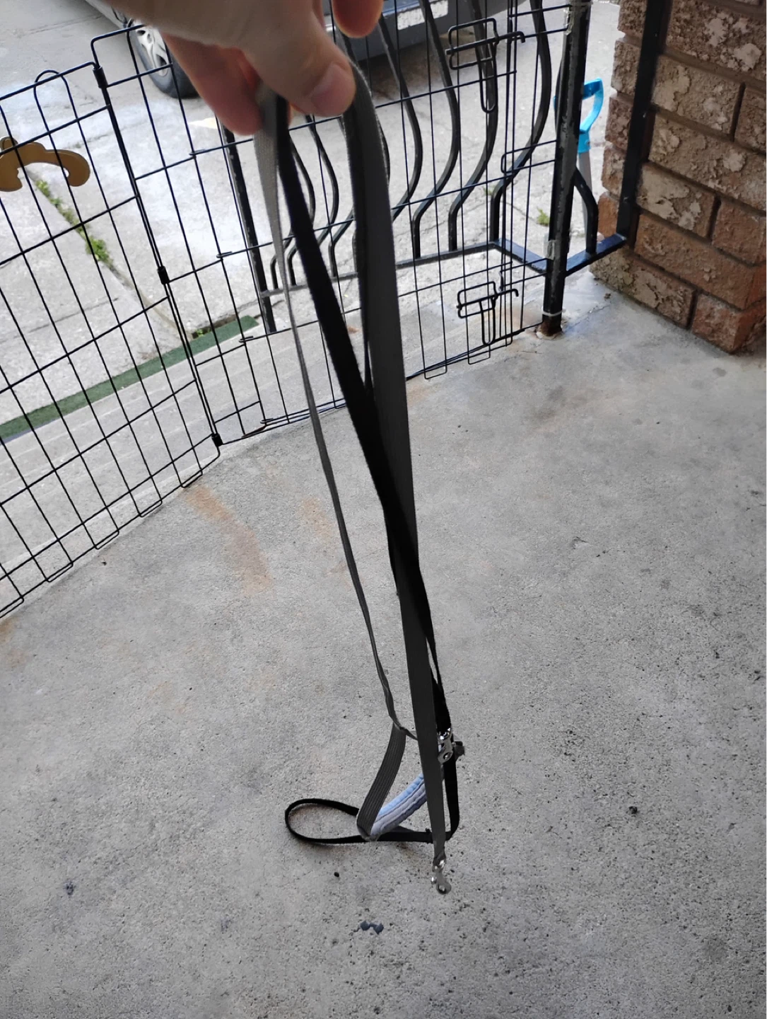 Nylon Dog Leash Set (2) ⚽️ - photo 3