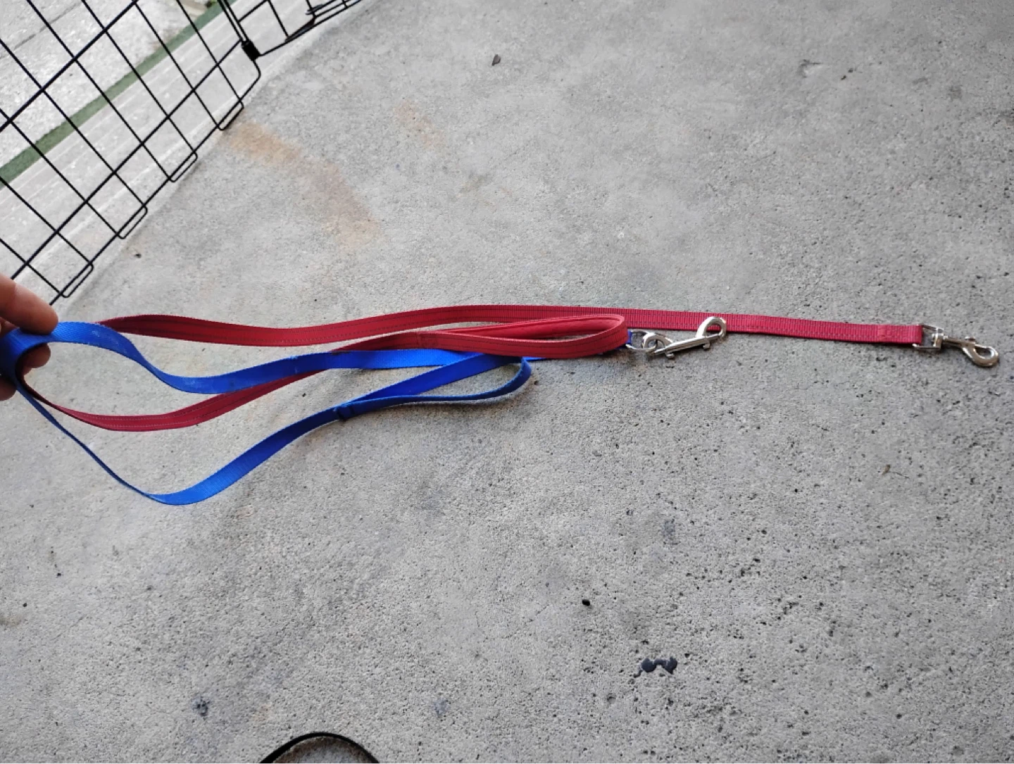 Nylon Dog Leash Set (2) ⚽️ - photo 5