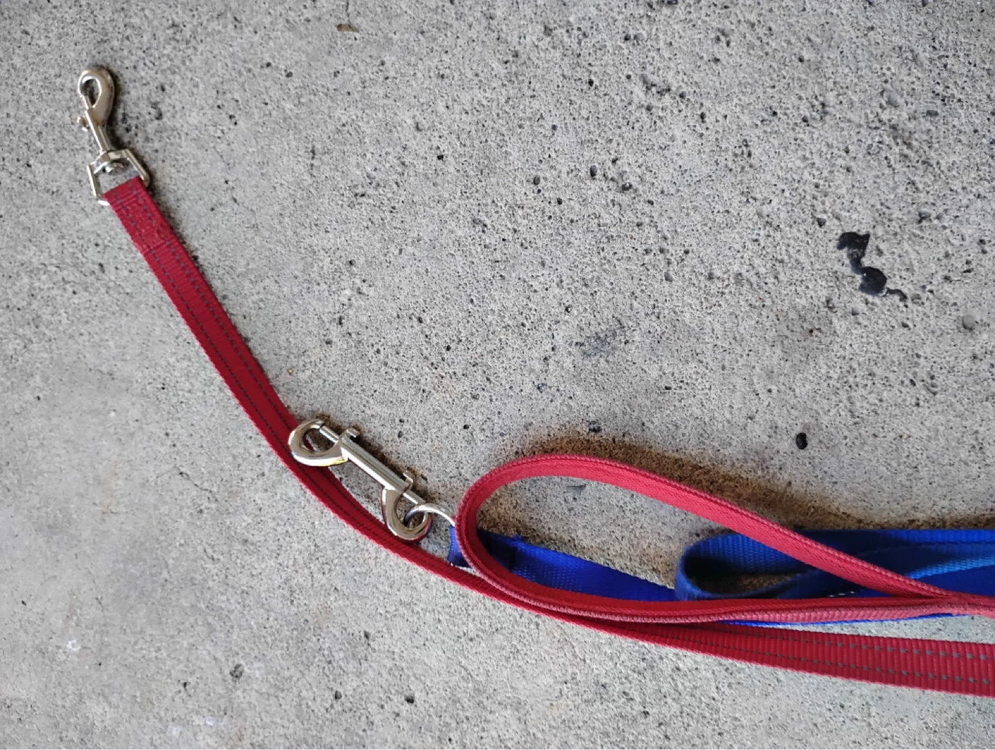 Nylon Dog Leash Set (2) ⚽️ - photo 4