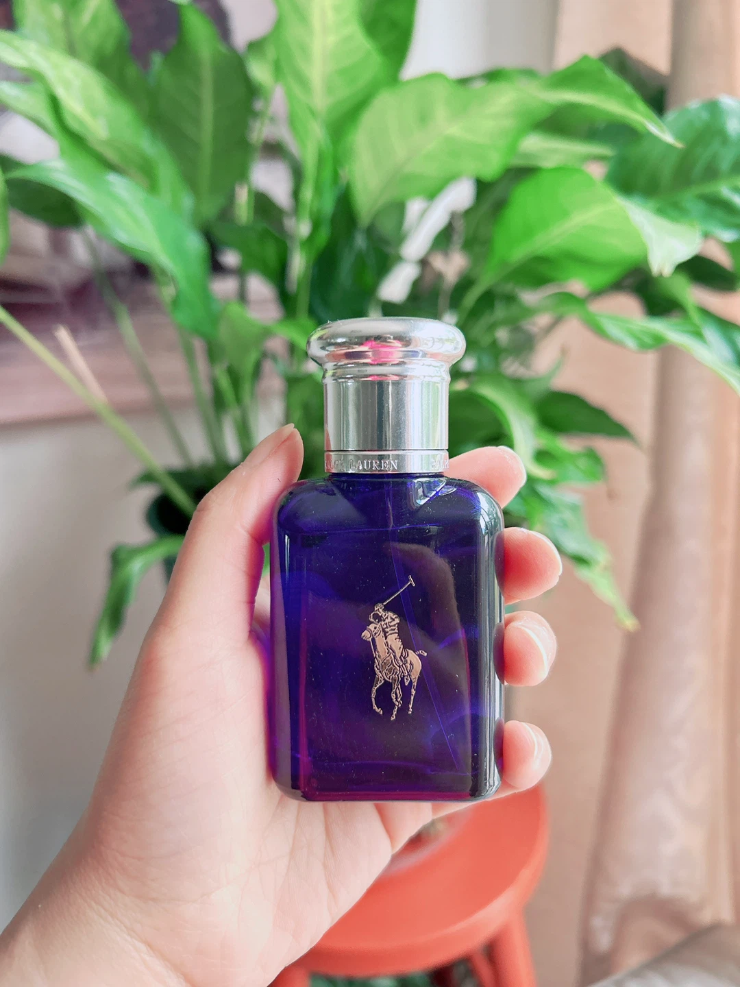 Polo Ralph Lauren Fragrance Collection