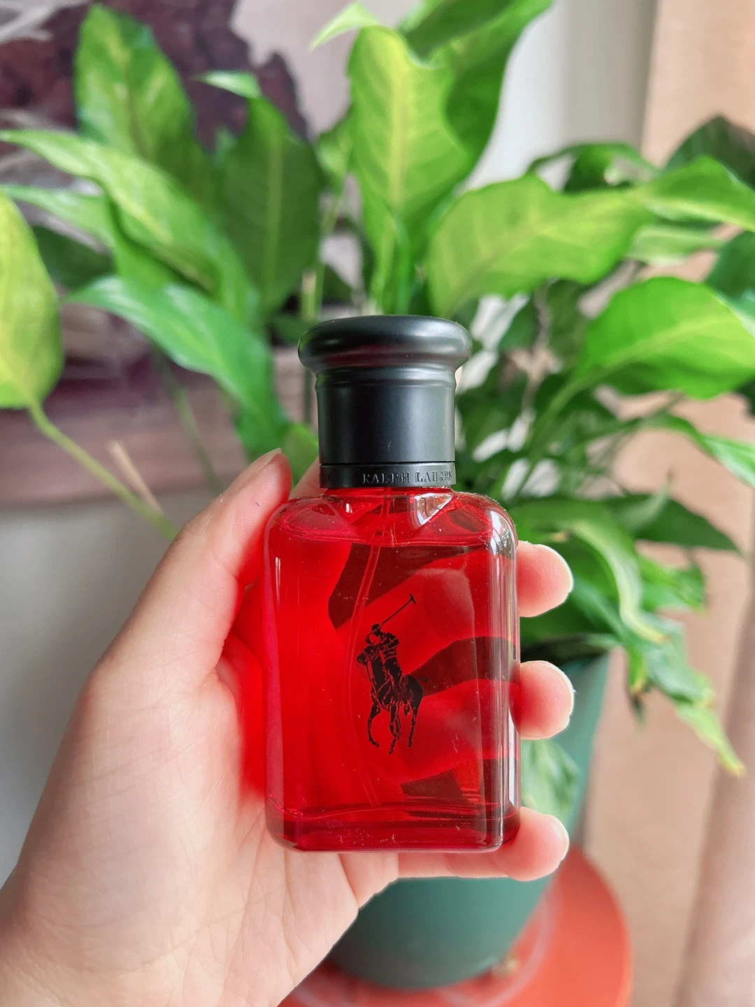 Polo Ralph Lauren Fragrance Collection - photo 2