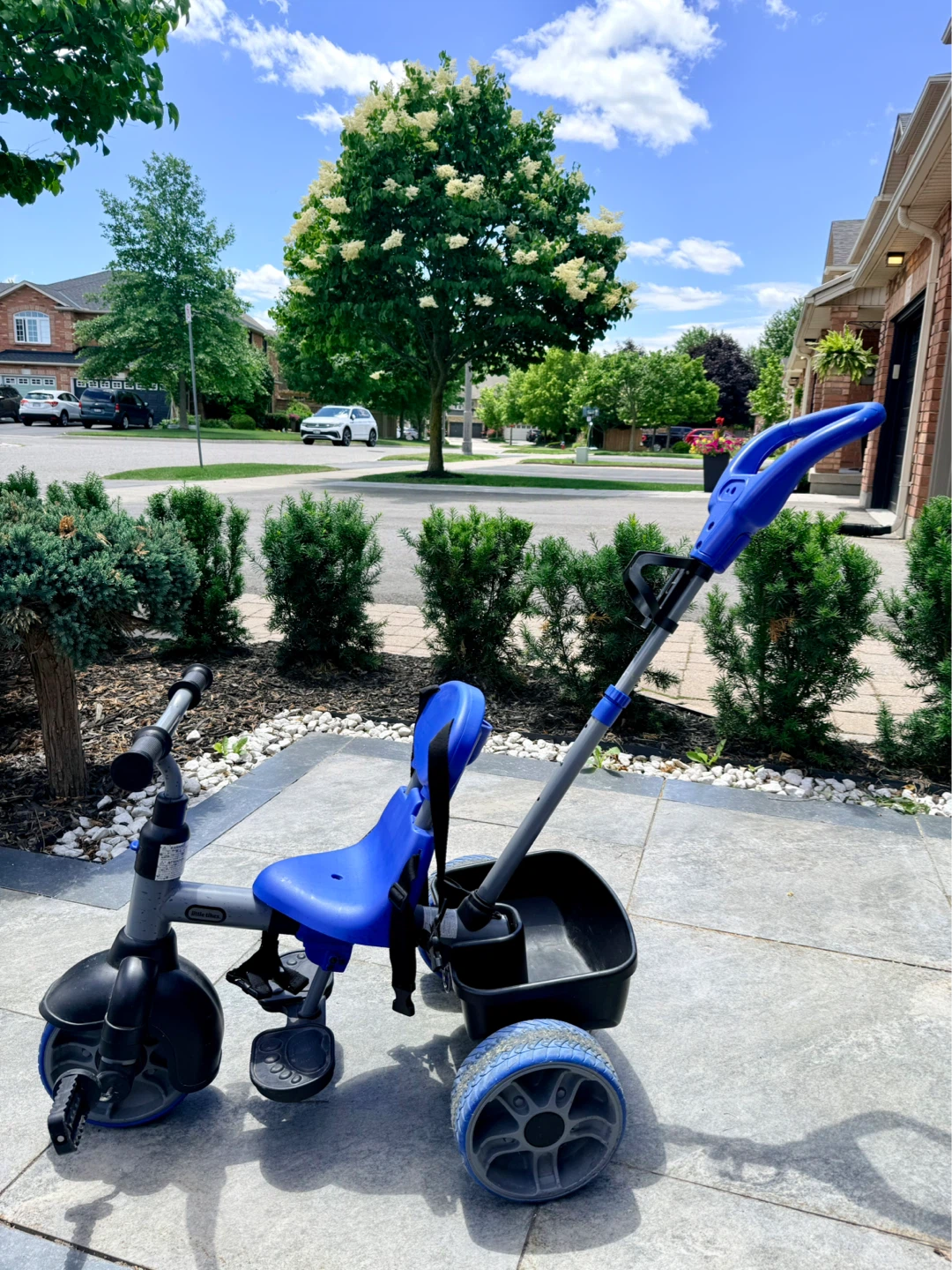 Little Tikes Blue Tricycle with Parent Handle