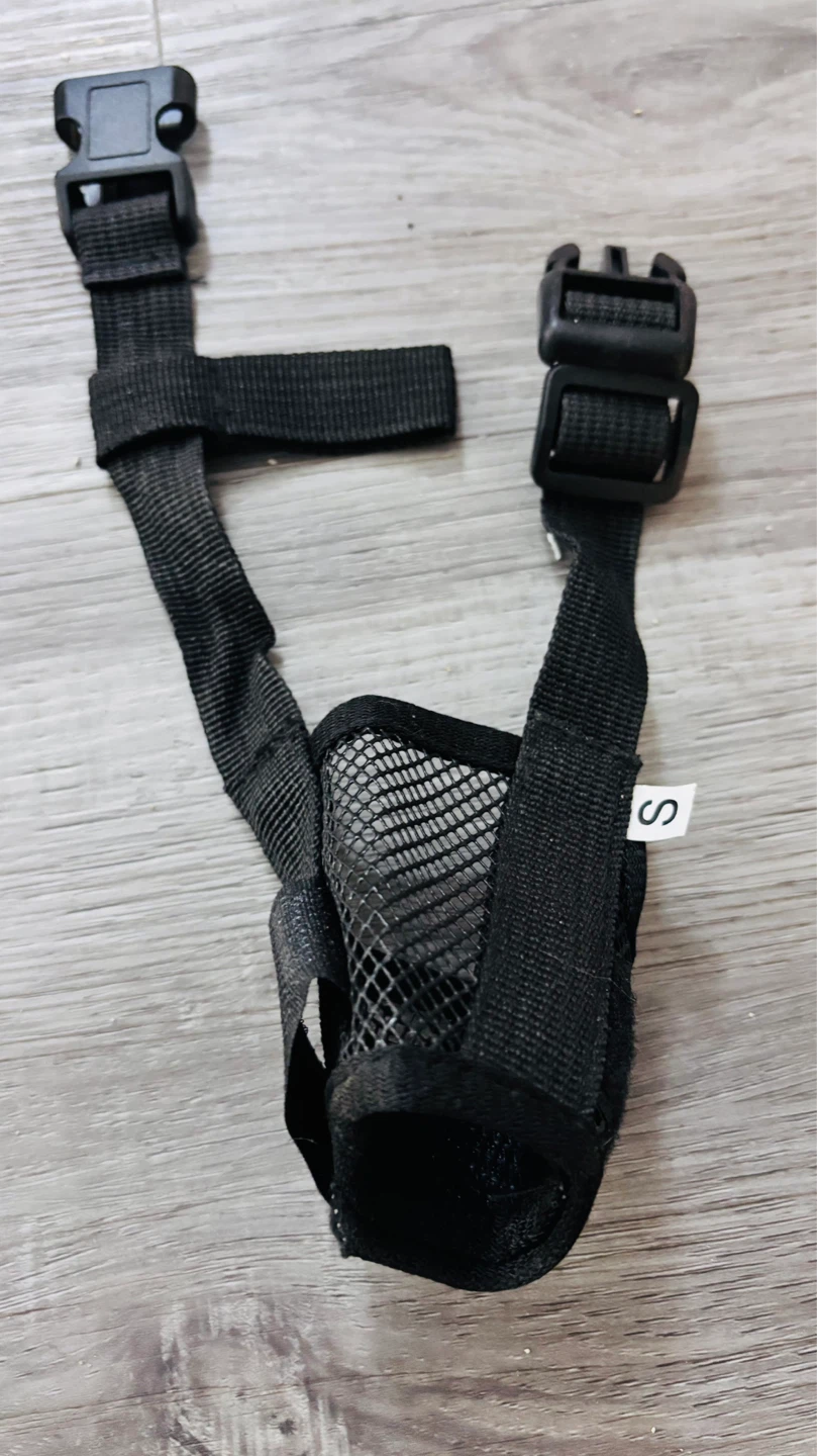 Black Dog Muzzle