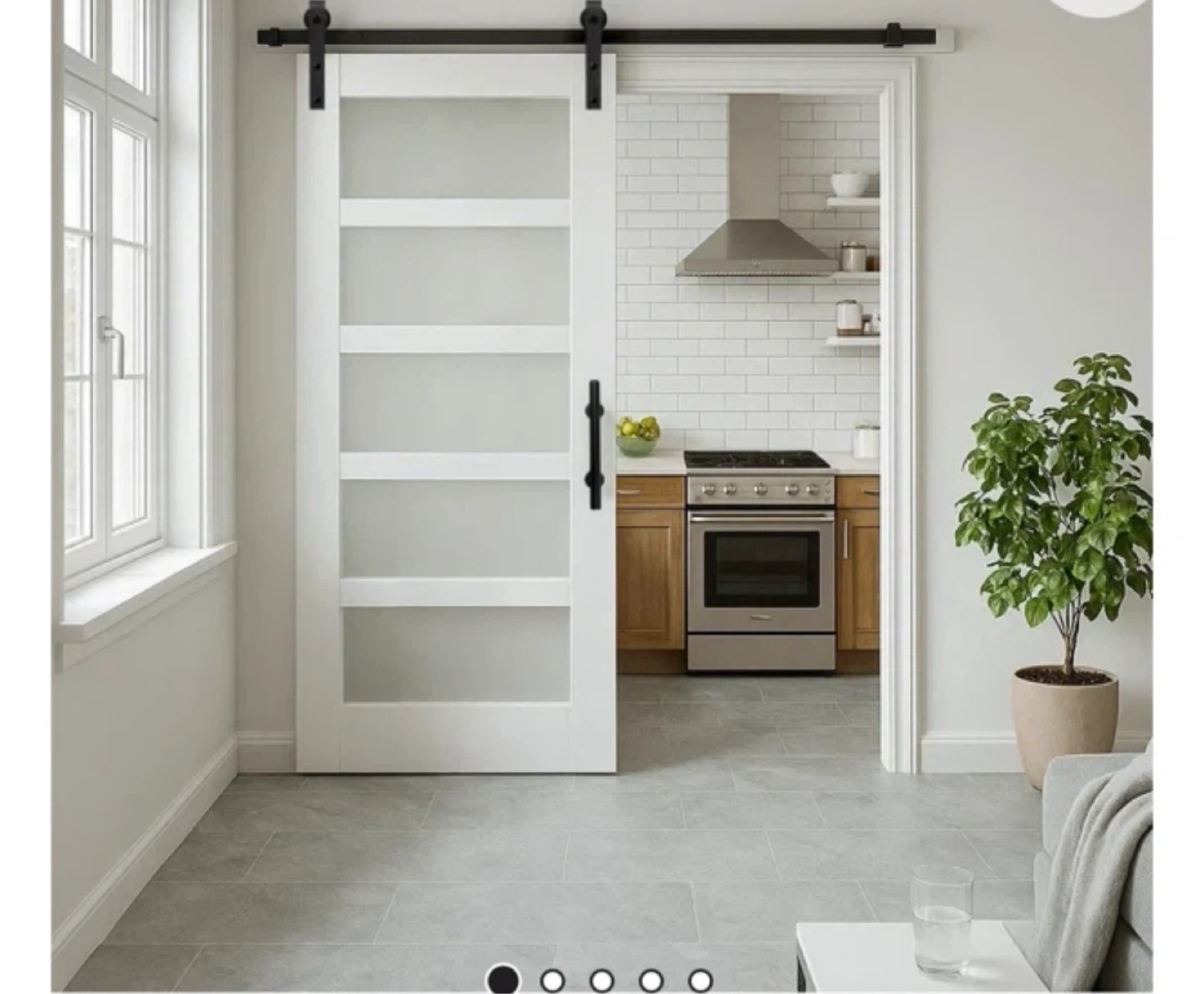 White Barn Door with Frosted Glass Panels