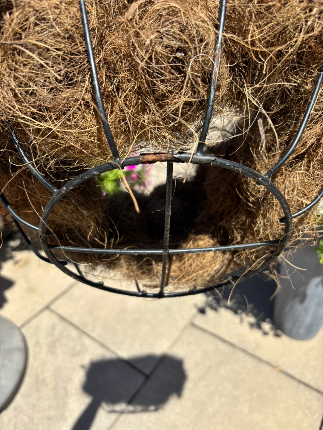 ⚽️ Wire Planter Basket with coir - photo 2
