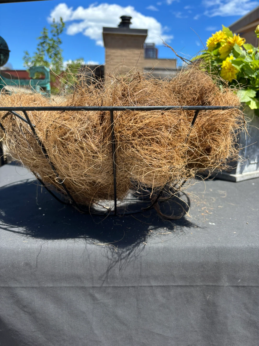 ⚽️ Wire Planter Basket with coir - photo 4