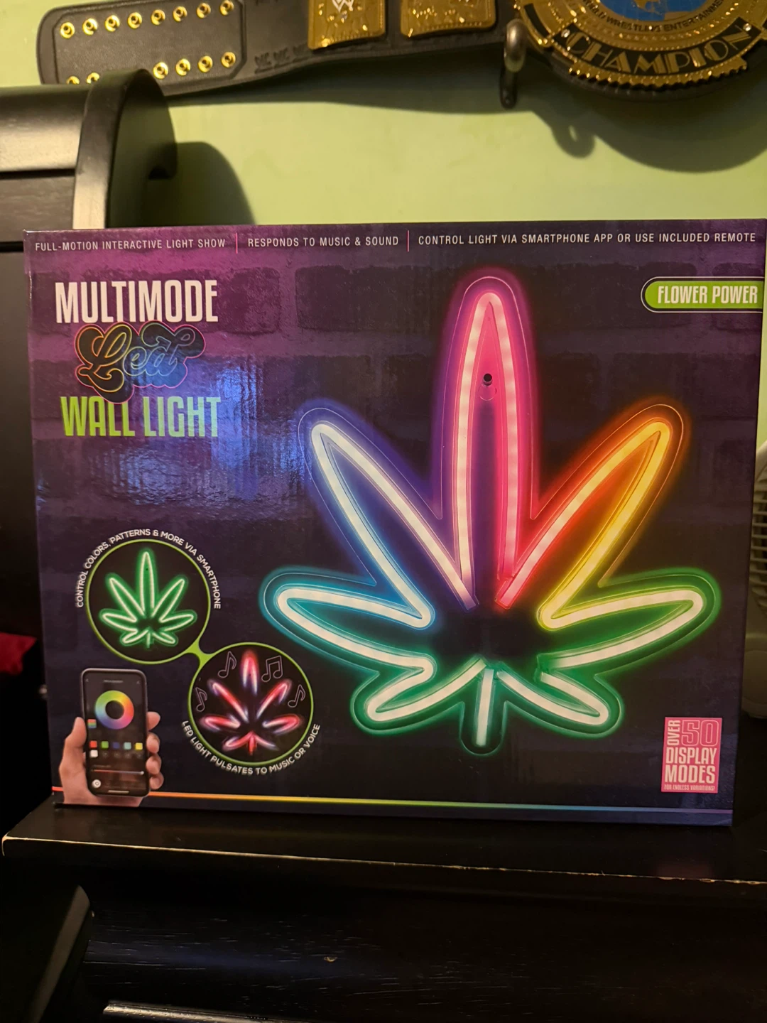 Multimode LED Wall Light - Flower Power