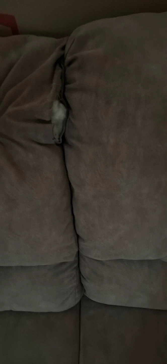 Couch - photo 2