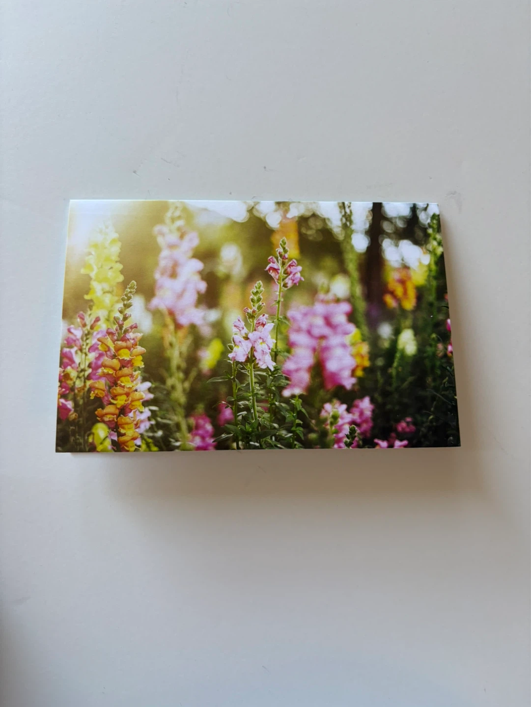 Blank card - Beautiful floral ⚽️