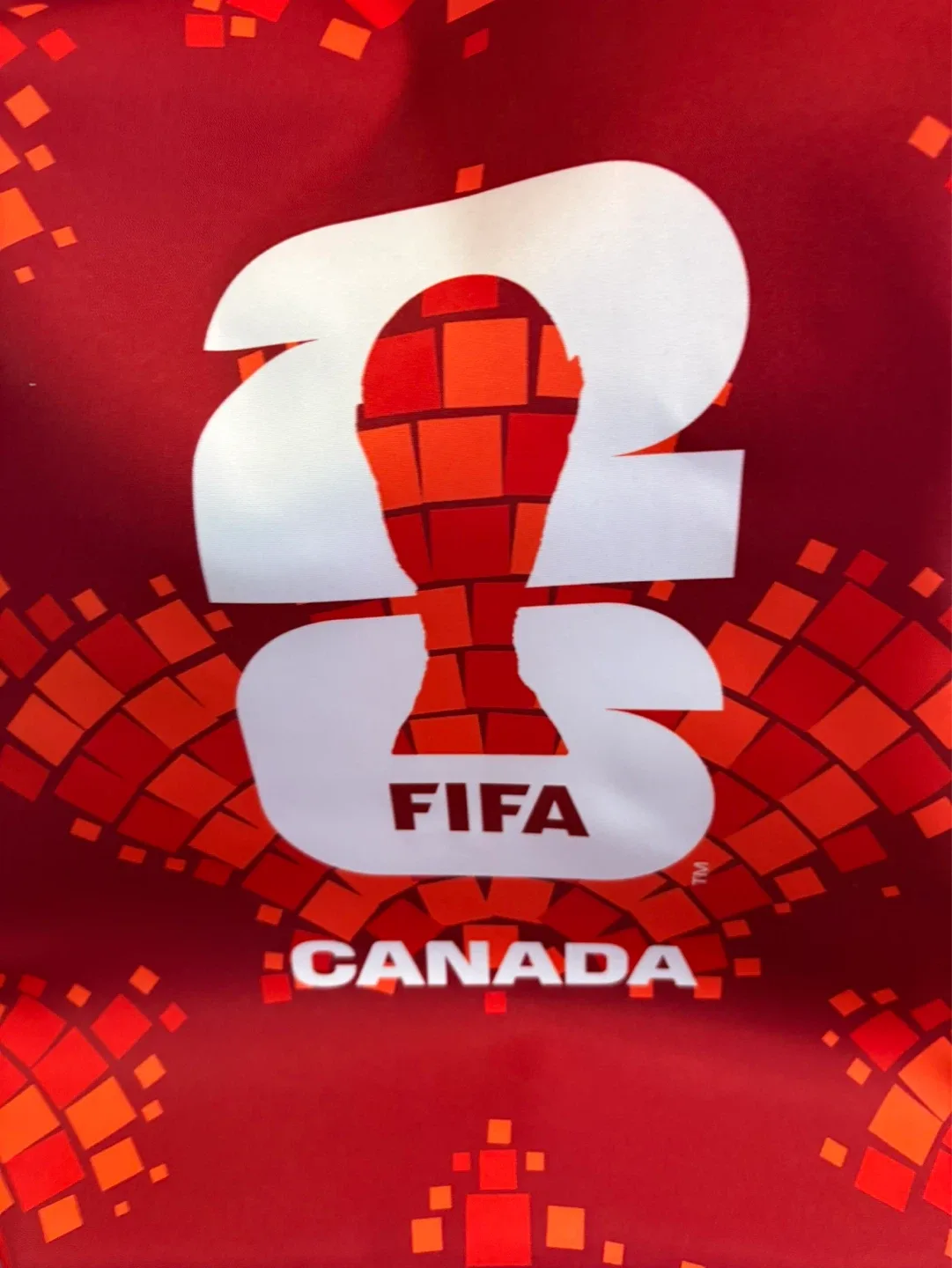 ⚽️FIFA World Cup 2026 Canada Backpack - photo 5