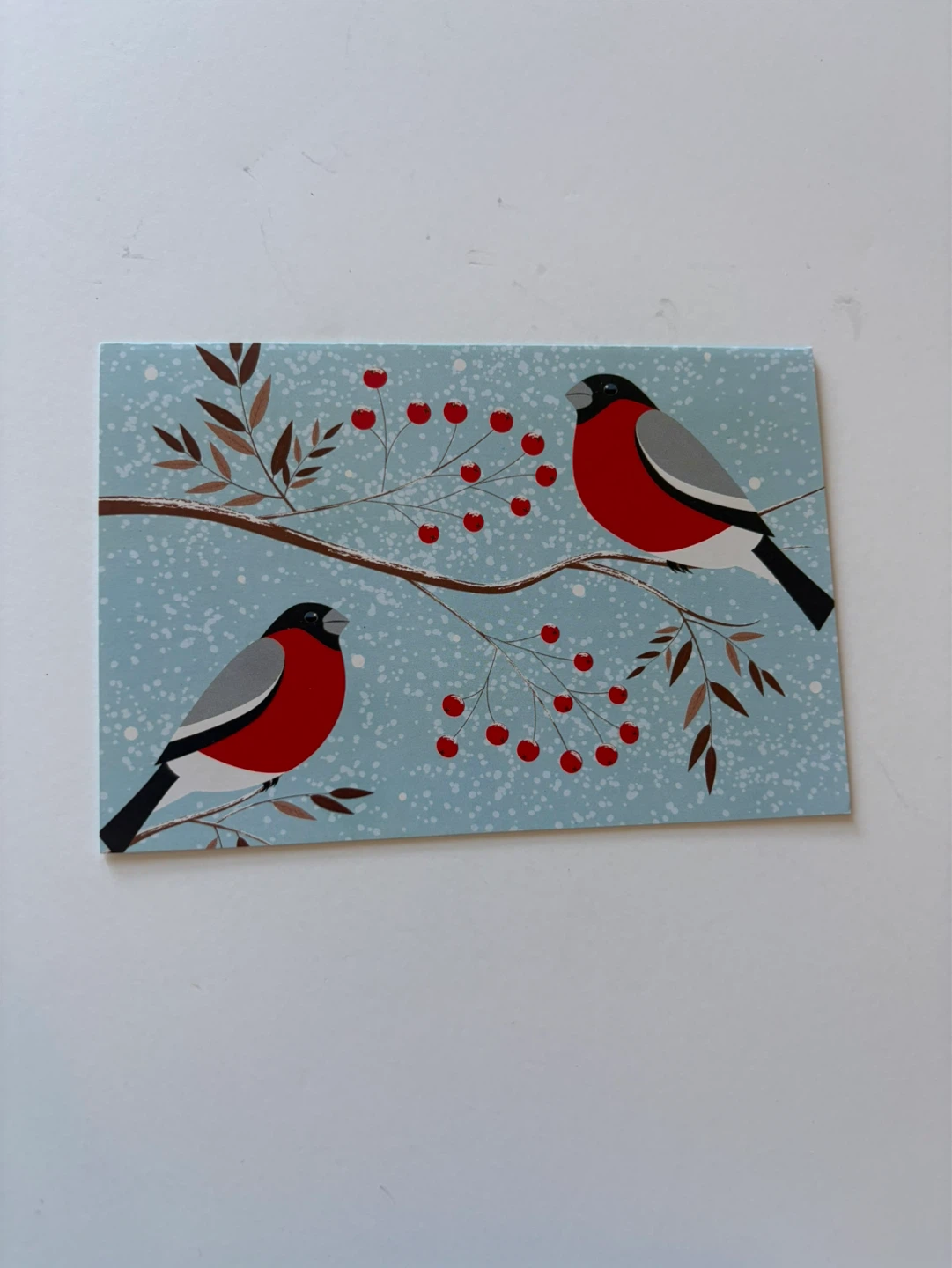 Blank card -  Festive design with two birds ⚽️
