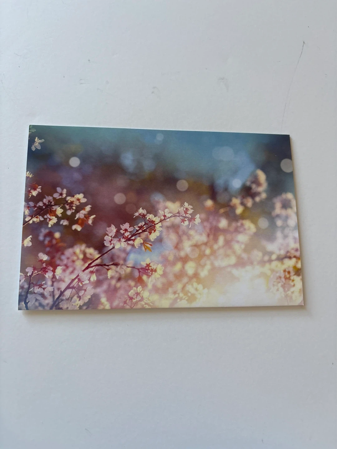 Blank card - Beautiful floral design ⚽️