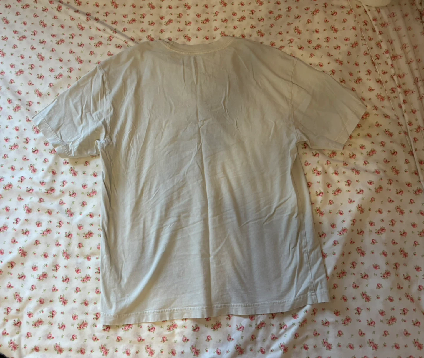 Roots T-Shirt Save the World Recycle - photo 2